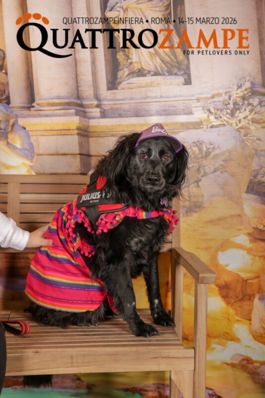 Concorso Fotografico - QuattroZampe in Fiera - Roma - Marzo 2026