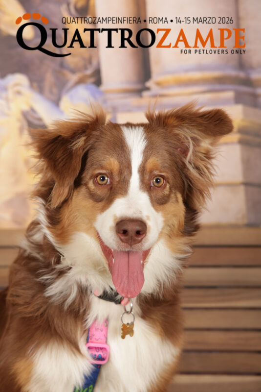 Concorso Fotografico - QuattroZampe in Fiera - Roma - Marzo 2026