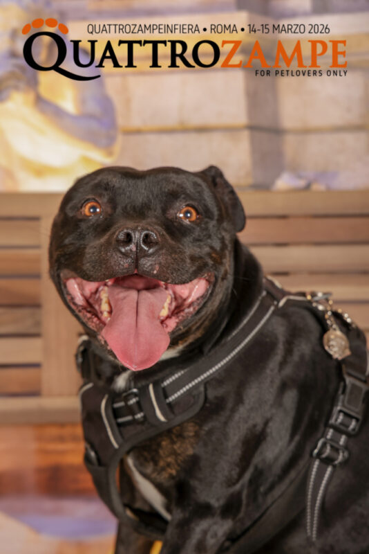 Concorso Fotografico - QuattroZampe in Fiera - Roma - Marzo 2026