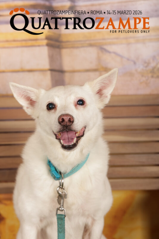 Concorso Fotografico - QuattroZampe in Fiera - Roma - Marzo 2026