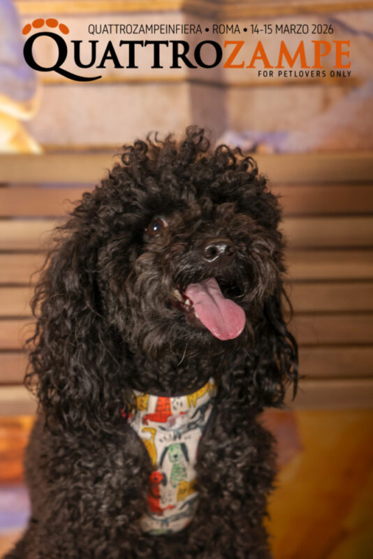 Concorso Fotografico - QuattroZampe in Fiera - Roma - Marzo 2026