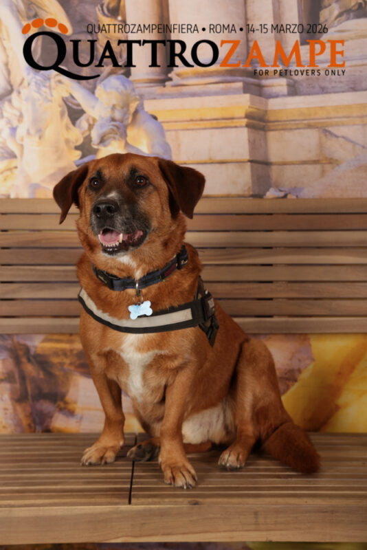 Concorso Fotografico - QuattroZampe in Fiera - Roma - Marzo 2026