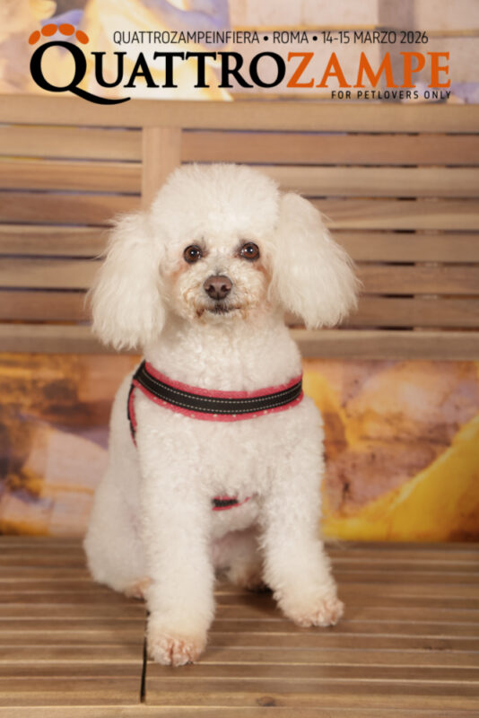 Concorso Fotografico - QuattroZampe in Fiera - Roma - Marzo 2026
