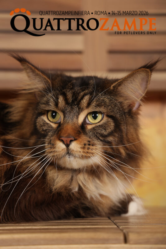 Concorso Fotografico - QuattroZampe in Fiera - Roma - Marzo 2026