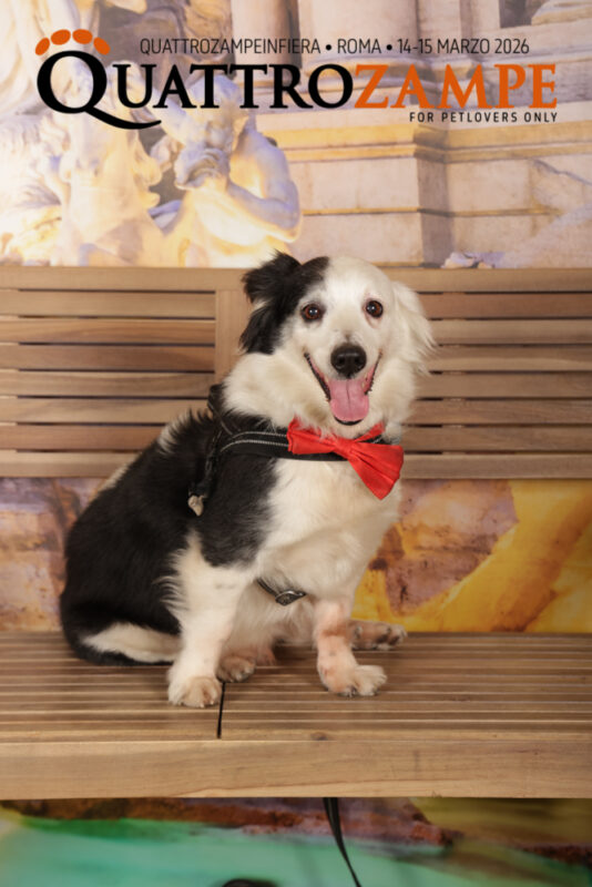 Concorso Fotografico - QuattroZampe in Fiera - Roma - Marzo 2026