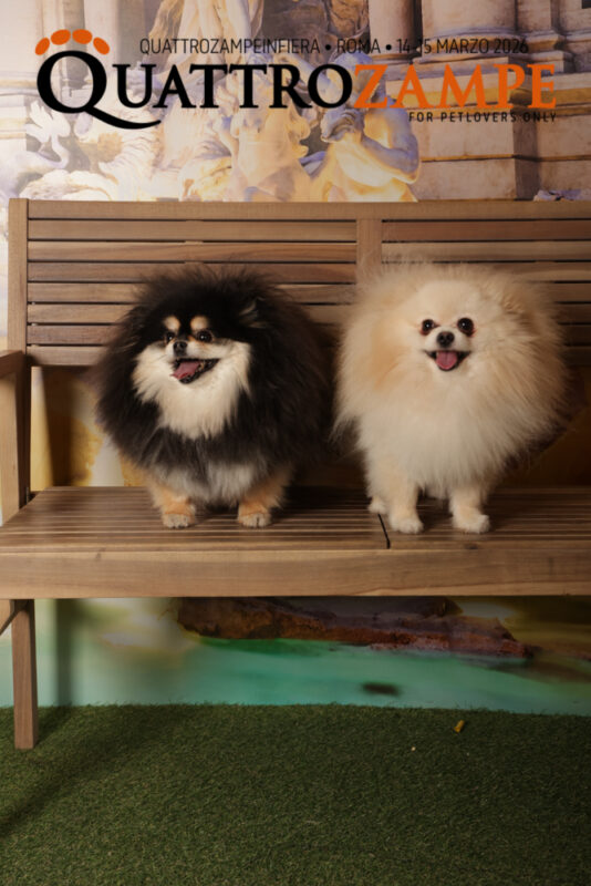 Concorso Fotografico - QuattroZampe in Fiera - Roma - Marzo 2026