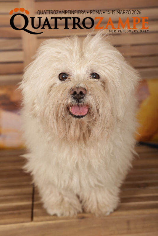 Concorso Fotografico - QuattroZampe in Fiera - Roma - Marzo 2026