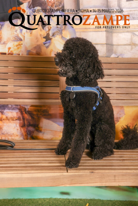 Concorso Fotografico - QuattroZampe in Fiera - Roma - Marzo 2026