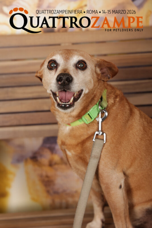 Concorso Fotografico - QuattroZampe in Fiera - Roma - Marzo 2026