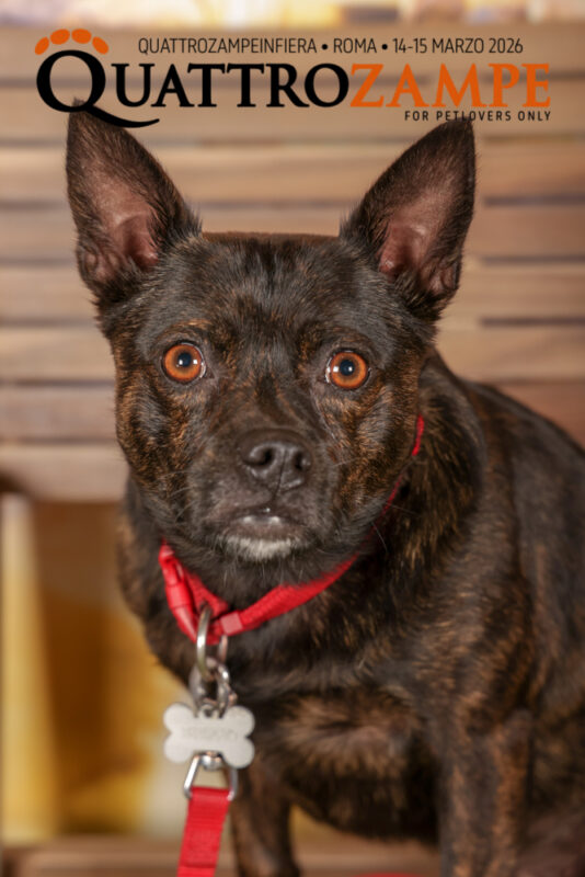 Concorso Fotografico - QuattroZampe in Fiera - Roma - Marzo 2026