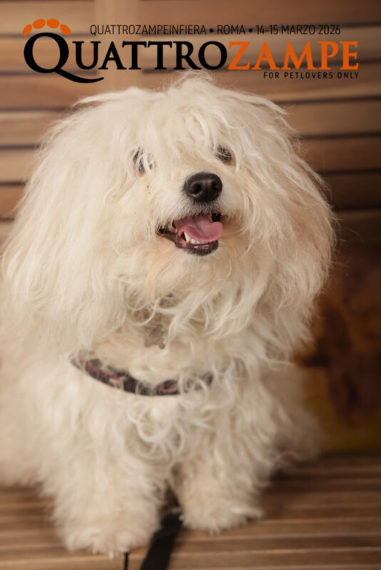 Concorso Fotografico - QuattroZampe in Fiera - Roma - Marzo 2026