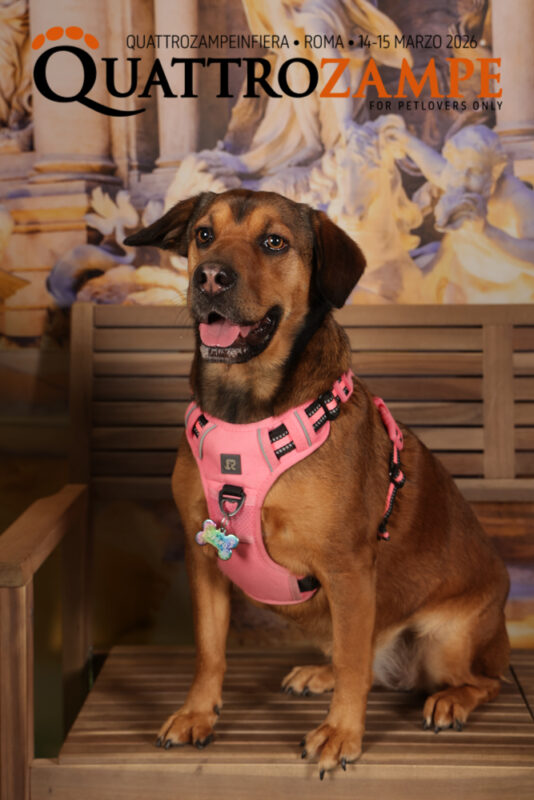 Concorso Fotografico - QuattroZampe in Fiera - Roma - Marzo 2026