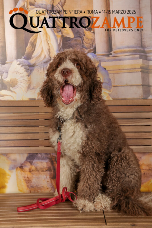 Concorso Fotografico - QuattroZampe in Fiera - Roma - Marzo 2026