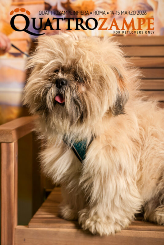 Concorso Fotografico - QuattroZampe in Fiera - Roma - Marzo 2026