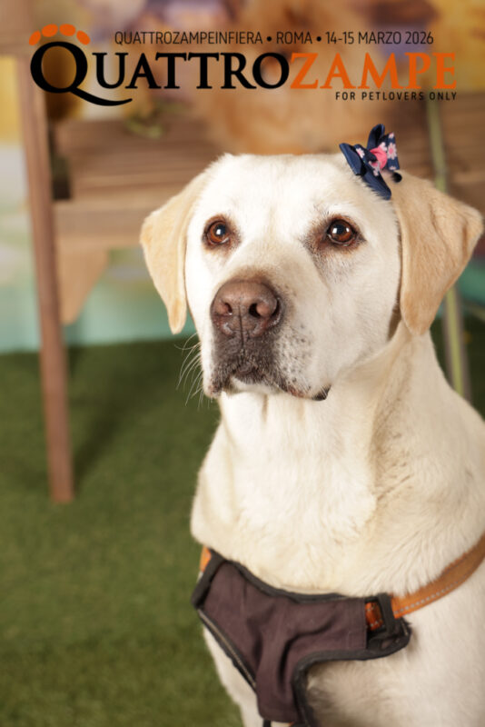 Concorso Fotografico - QuattroZampe in Fiera - Roma - Marzo 2026