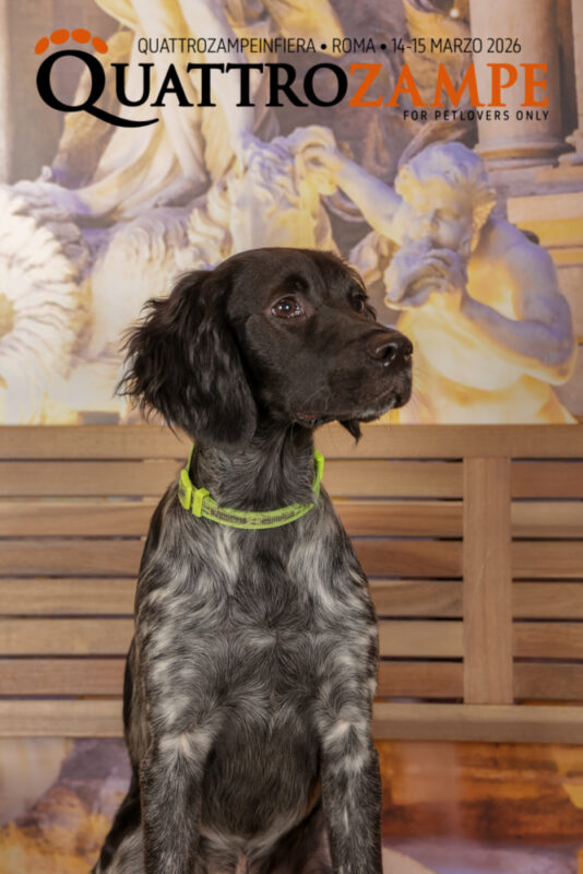 Concorso Fotografico - QuattroZampe in Fiera - Roma - Marzo 2026