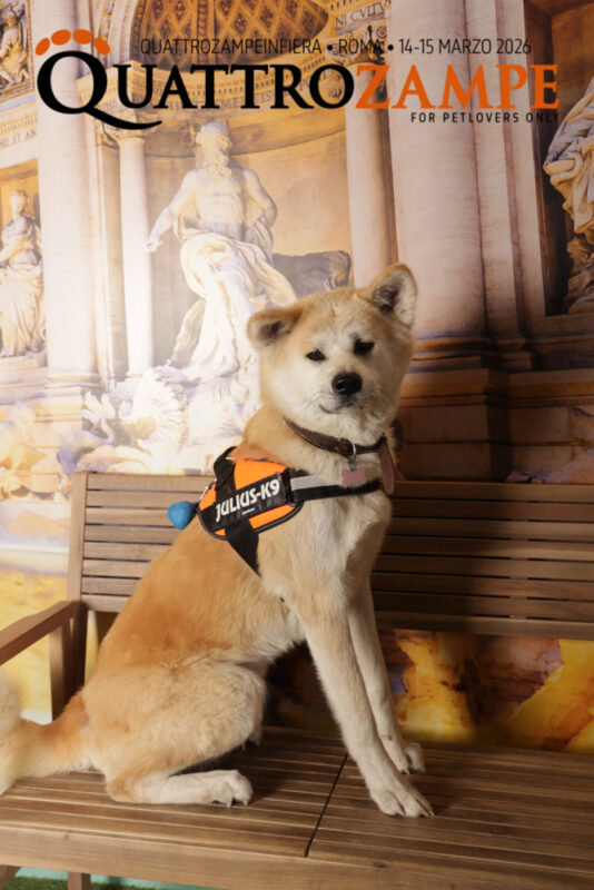 Concorso Fotografico - QuattroZampe in Fiera - Roma - Marzo 2026