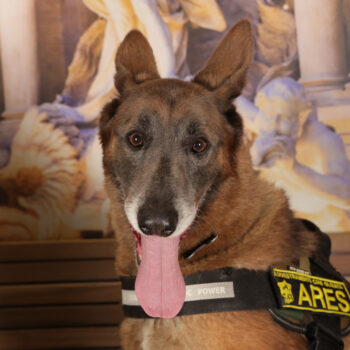 Concorso Fotografico - QuattroZampe in Fiera - Roma - Marzo 2026