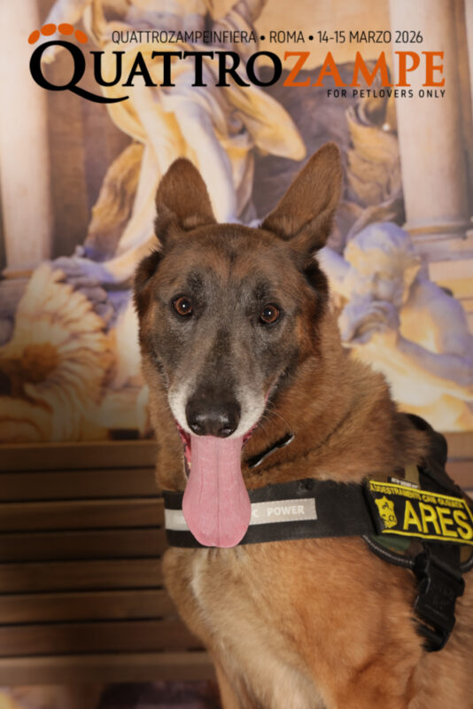 Concorso Fotografico - QuattroZampe in Fiera - Roma - Marzo 2026