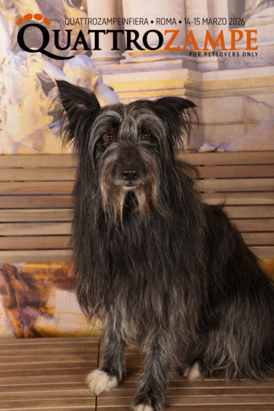 Concorso Fotografico - QuattroZampe in Fiera - Roma - Marzo 2026