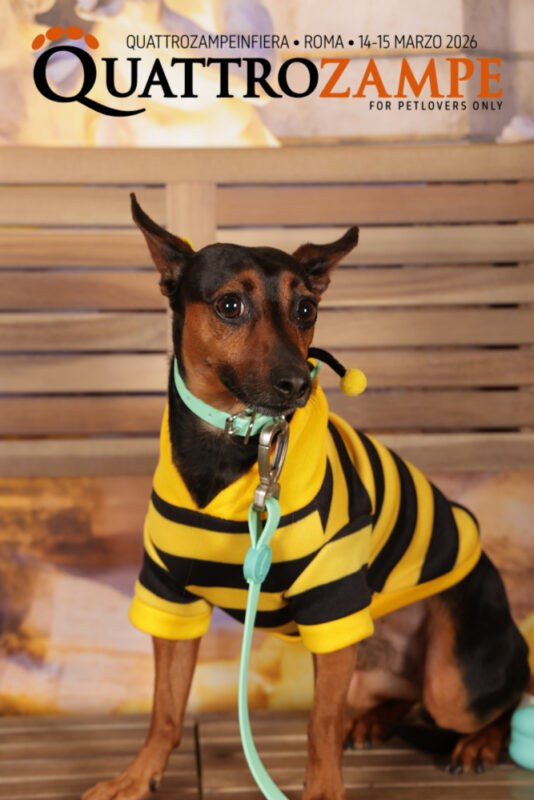 Concorso Fotografico - QuattroZampe in Fiera - Roma - Marzo 2026