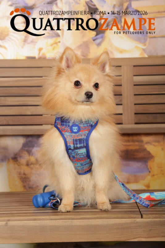 Concorso Fotografico - QuattroZampe in Fiera - Roma - Marzo 2026