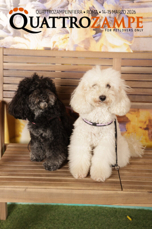 Concorso Fotografico - QuattroZampe in Fiera - Roma - Marzo 2026