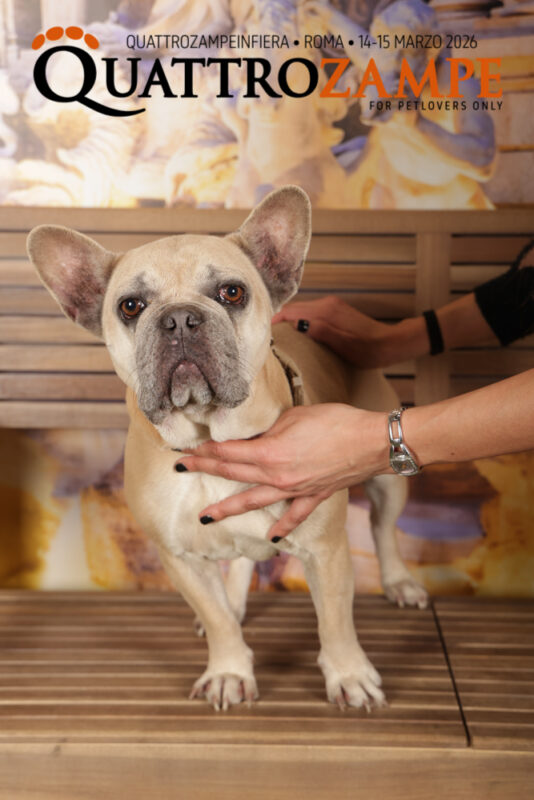 Concorso Fotografico - QuattroZampe in Fiera - Roma - Marzo 2026