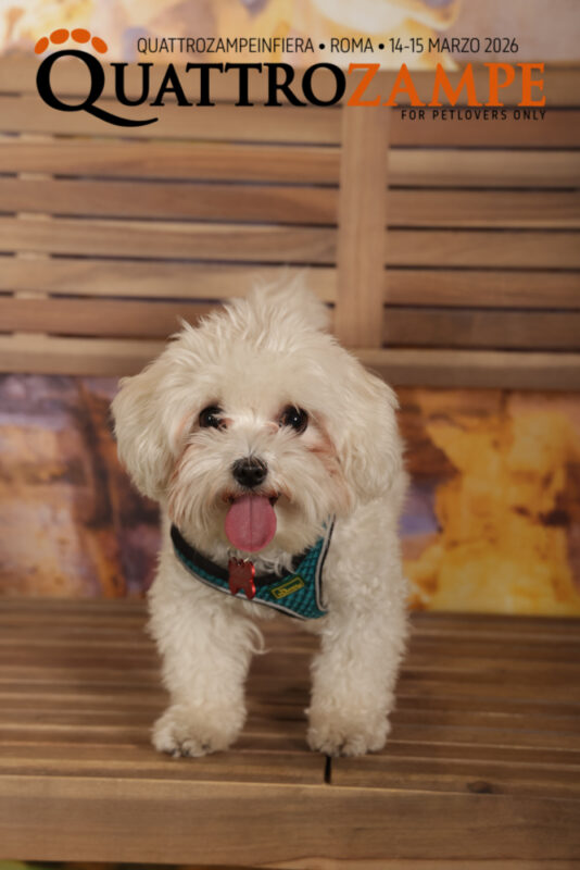 Concorso Fotografico - QuattroZampe in Fiera - Roma - Marzo 2026