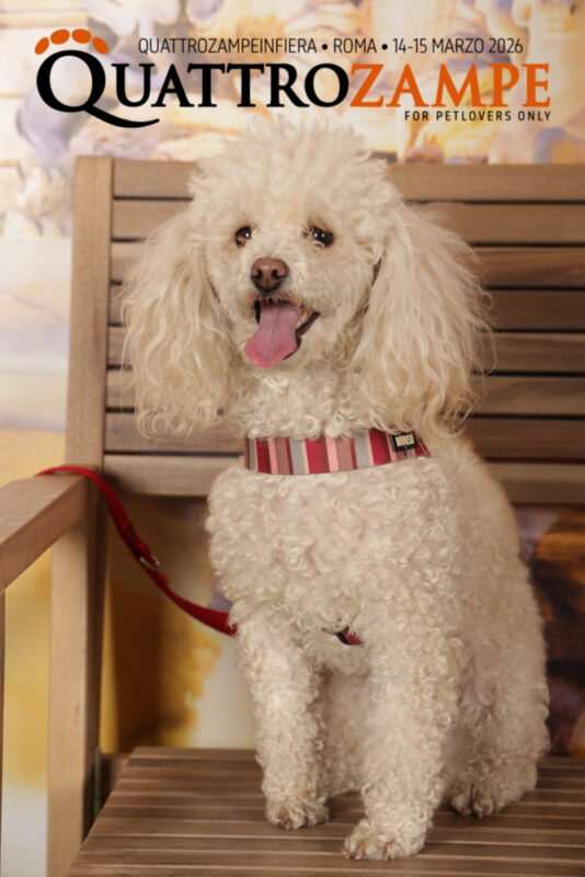 Concorso Fotografico - QuattroZampe in Fiera - Roma - Marzo 2026