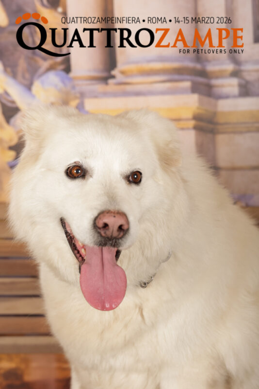 Concorso Fotografico - QuattroZampe in Fiera - Roma - Marzo 2026