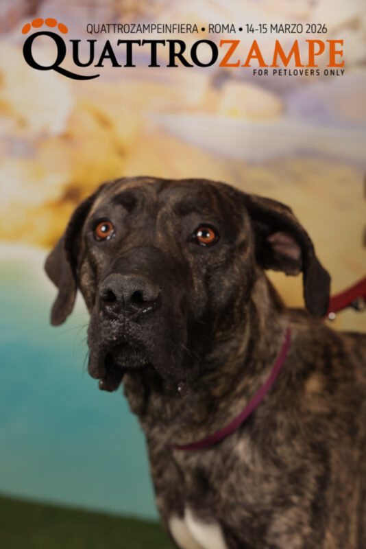 Concorso Fotografico - QuattroZampe in Fiera - Roma - Marzo 2026