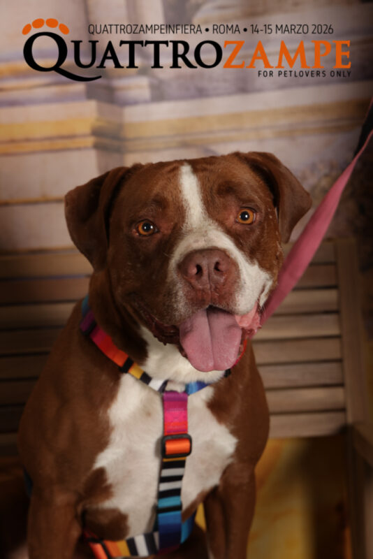 Concorso Fotografico - QuattroZampe in Fiera - Roma - Marzo 2026