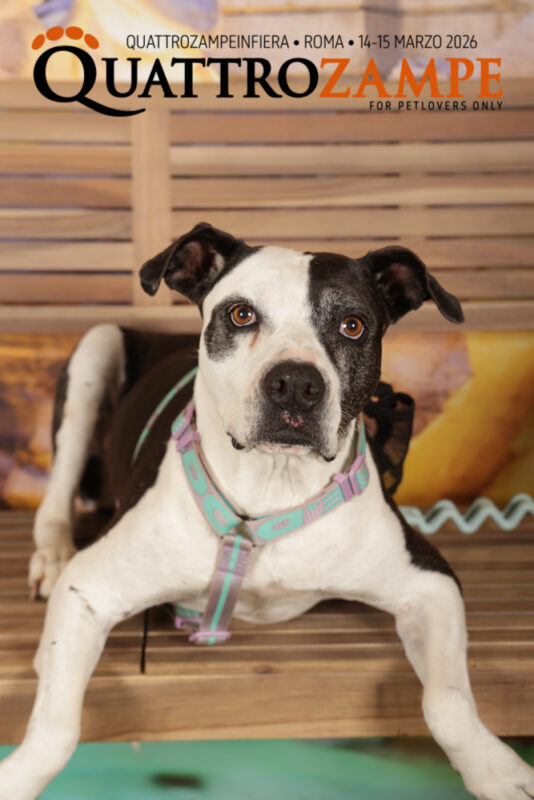 Concorso Fotografico - QuattroZampe in Fiera - Roma - Marzo 2026