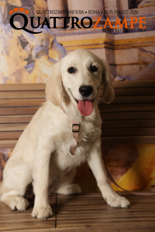 Concorso Fotografico - QuattroZampe in Fiera - Roma - Marzo 2026
