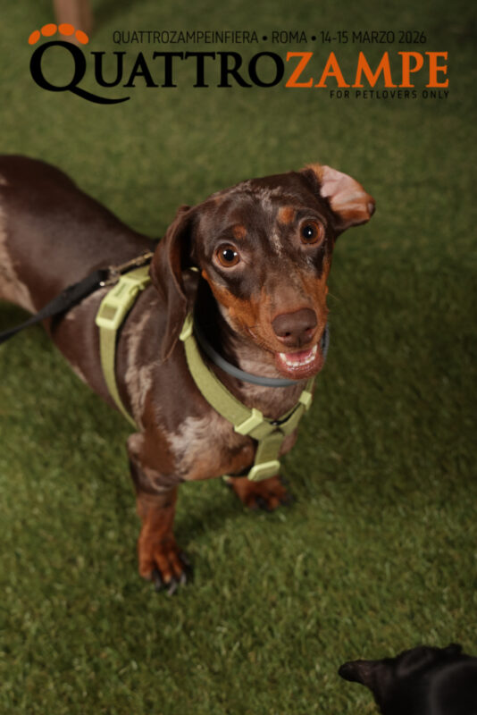 Concorso Fotografico - QuattroZampe in Fiera - Roma - Marzo 2026