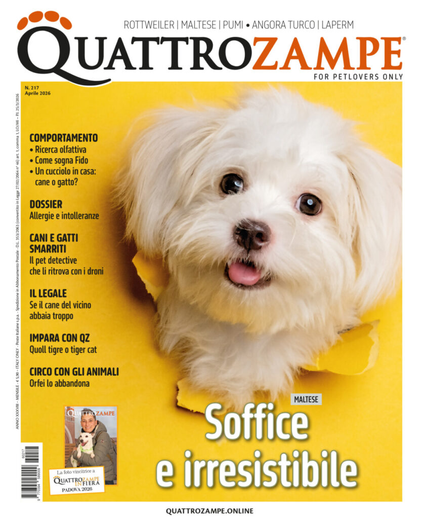 È in edicola il numero di aprile 2026 di Quattrozampe