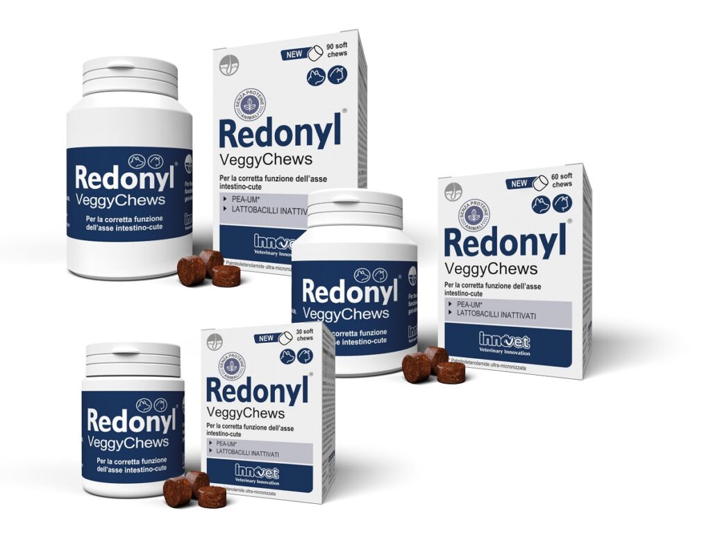 Come prevenire le allergie nei cani e nei gatti a partire dall'intestino