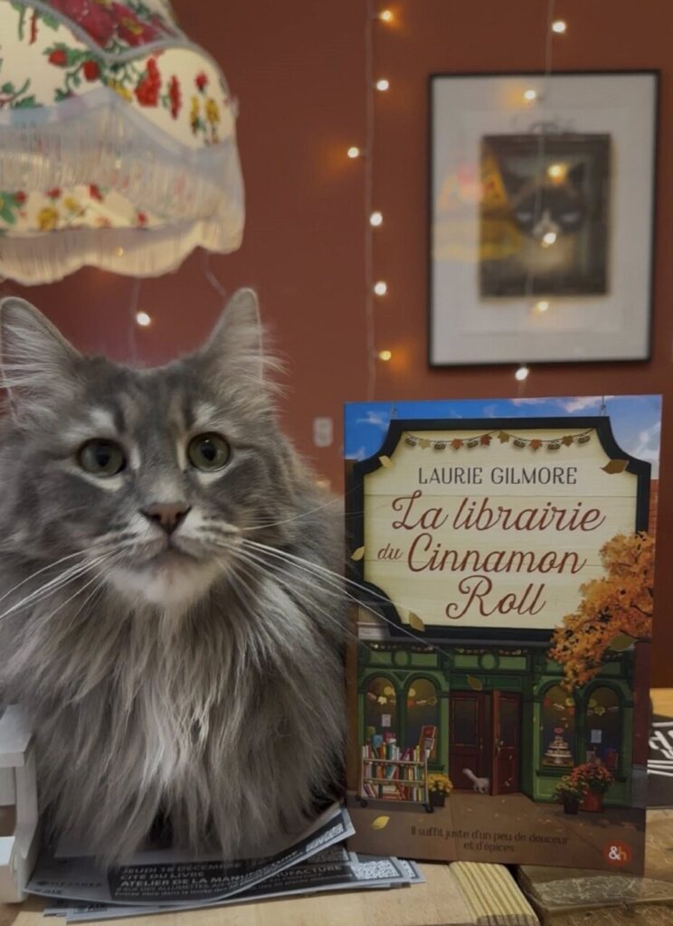 Libreria con gatti: a Aix-en-Provence il rifugio magico di Mon Chat Pitre