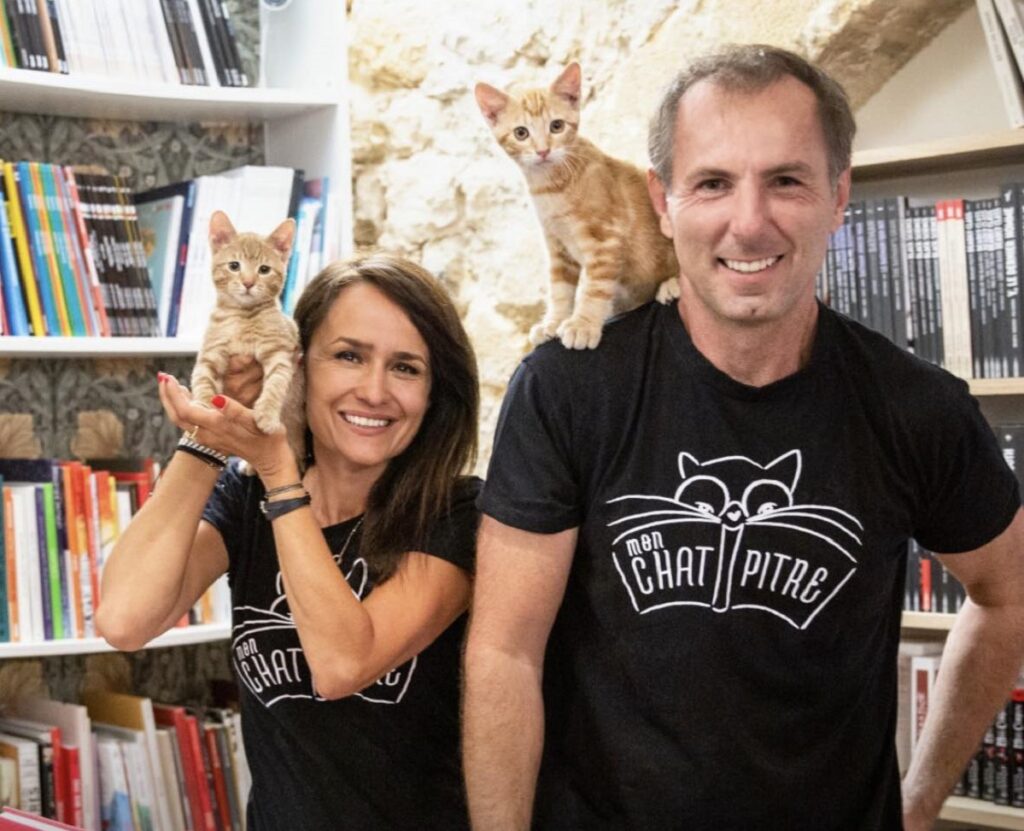 Libreria con gatti: a Aix-en-Provence il rifugio magico di Mon Chat Pitre