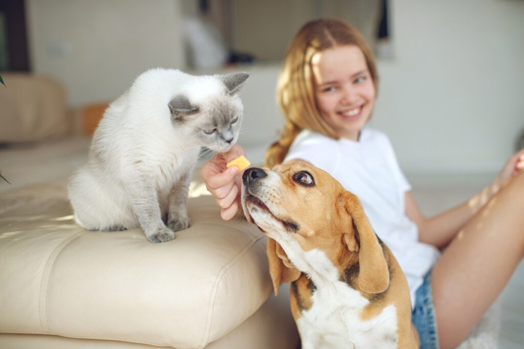 Quanto costa vivere con un pet? Benefici e spese
