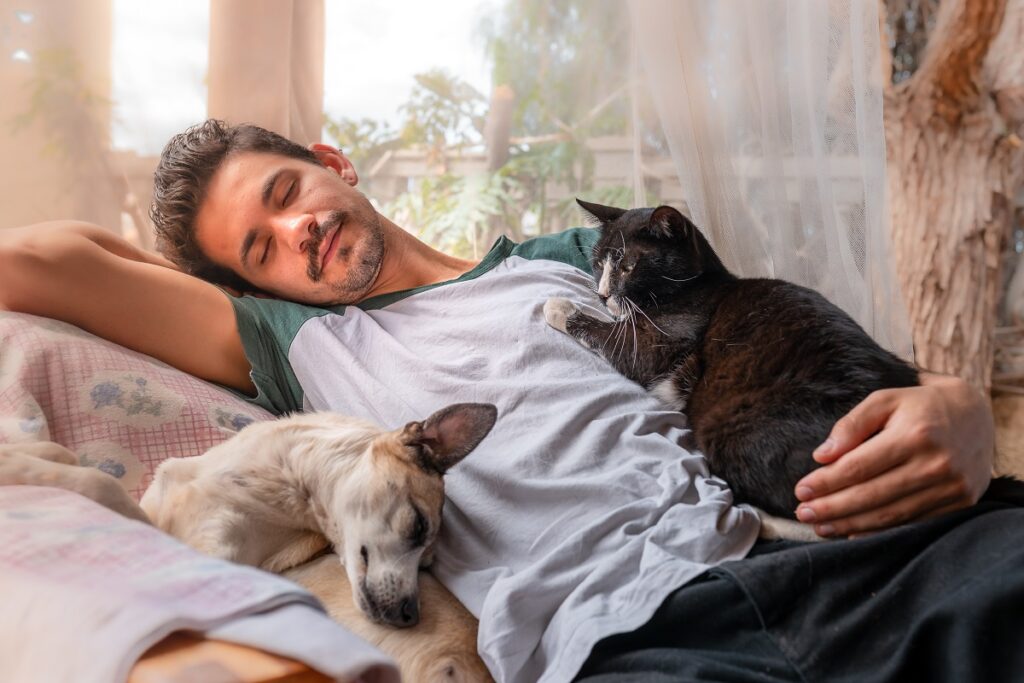 Quanto costa vivere con un pet? Benefici e spese