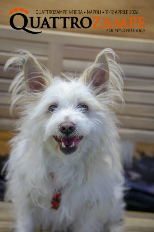 Concorso Fotografico - QuattroZampe in Fiera - Napoli - Aprile 2026