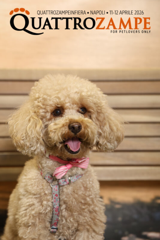 Concorso Fotografico - QuattroZampe in Fiera - Napoli - Aprile 2026