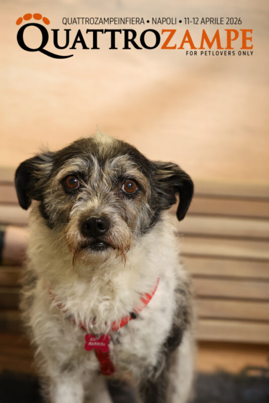Concorso Fotografico - QuattroZampe in Fiera - Napoli - Aprile 2026