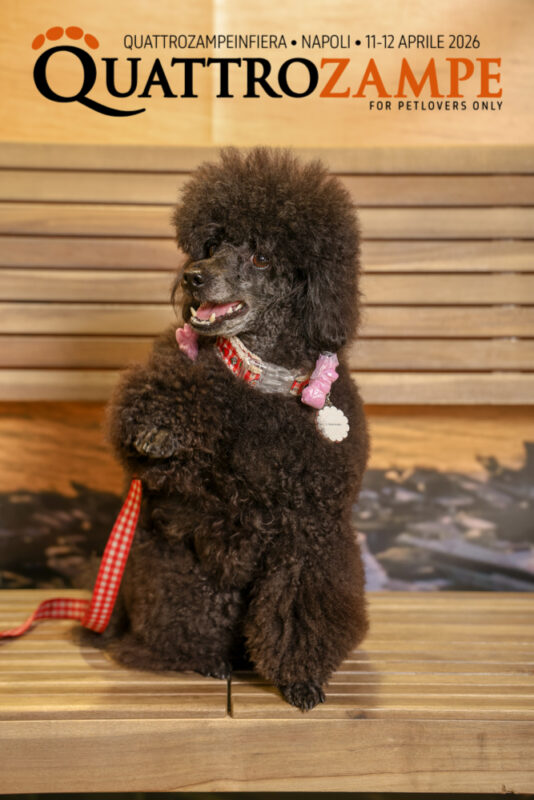 Concorso Fotografico - QuattroZampe in Fiera - Napoli - Aprile 2026