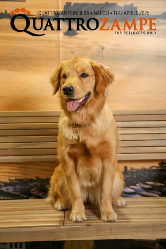 Concorso Fotografico - QuattroZampe in Fiera - Napoli - Aprile 2026