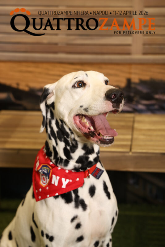 Concorso Fotografico - QuattroZampe in Fiera - Napoli - Aprile 2026