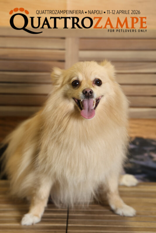 Concorso Fotografico - QuattroZampe in Fiera - Napoli - Aprile 2026