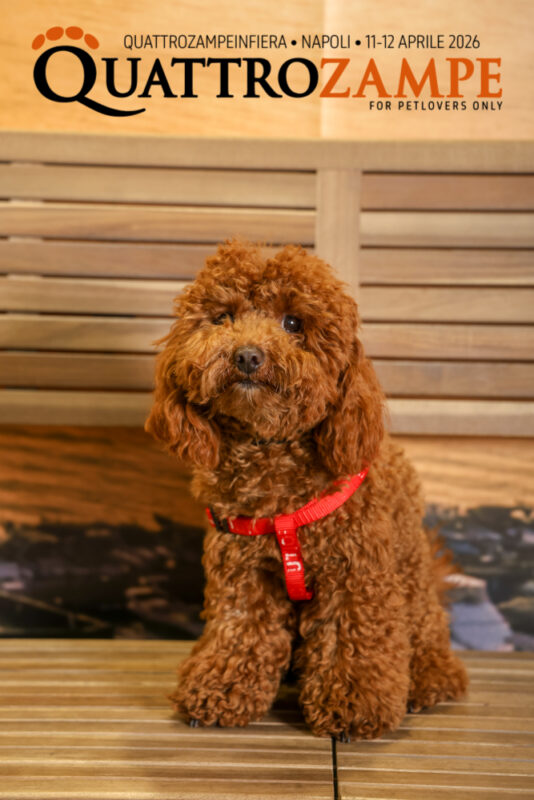 Concorso Fotografico - QuattroZampe in Fiera - Napoli - Aprile 2026
